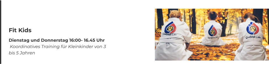 Fit Kids Dienstag und Donnerstag 16:00- 16.45 Uhr  Koordinatives Training für Kleinkinder von 3 bis 5 Jahren